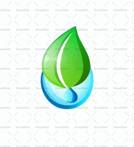 Wassertropfen und Blatt